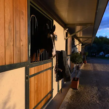 Kır Evi Laje Da Bica