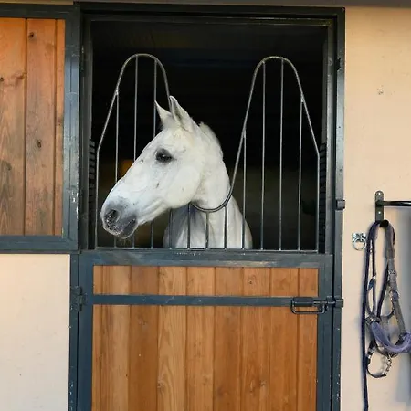 Laje Da Bica Casa rural Covilhã