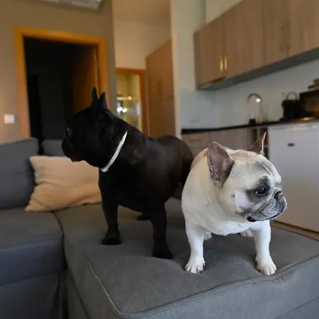 Laje Da Bica * Covilhã