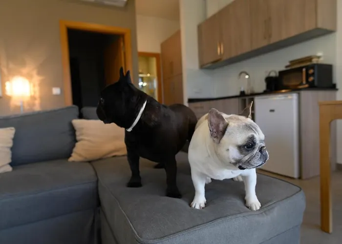 Laje Da Bica * Covilhã